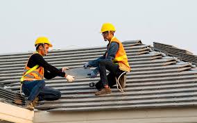 Best Roof Inspection  in Oran, MO